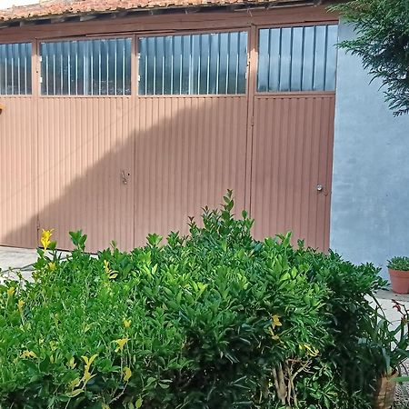 Casa Da Vovo Ceu - Casa De Campo Gandaresa - Country House, Entre Coimbra E Aveiro, A 15 Minutos Carro Praia Mira - Quintal Com Piscina Insuflavel Cantanhede Exterior foto